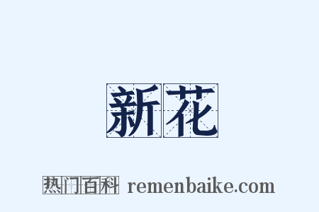 新花是什么意思的图片